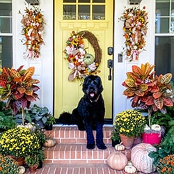 fall-front-door