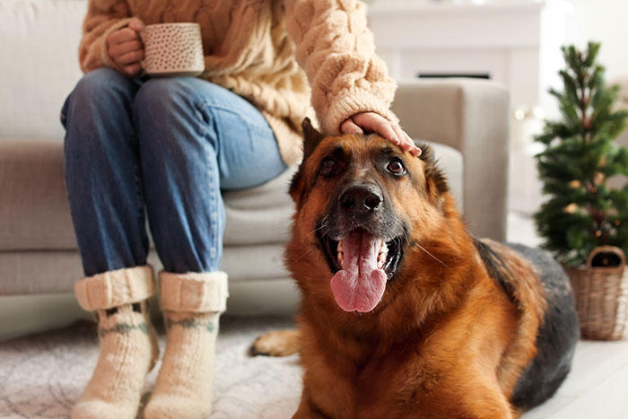 Woman petting a German shephard that's laying on the floor looking content.